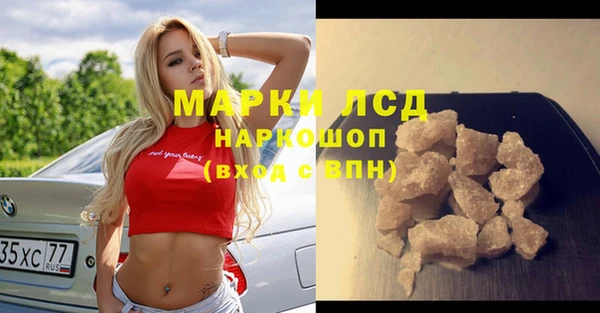 индика Киреевск