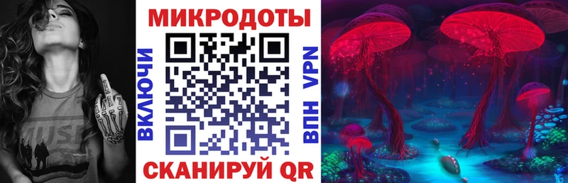 блэк спрут   Надым  Псилоцибиновые грибы GOLDEN TEACHER 